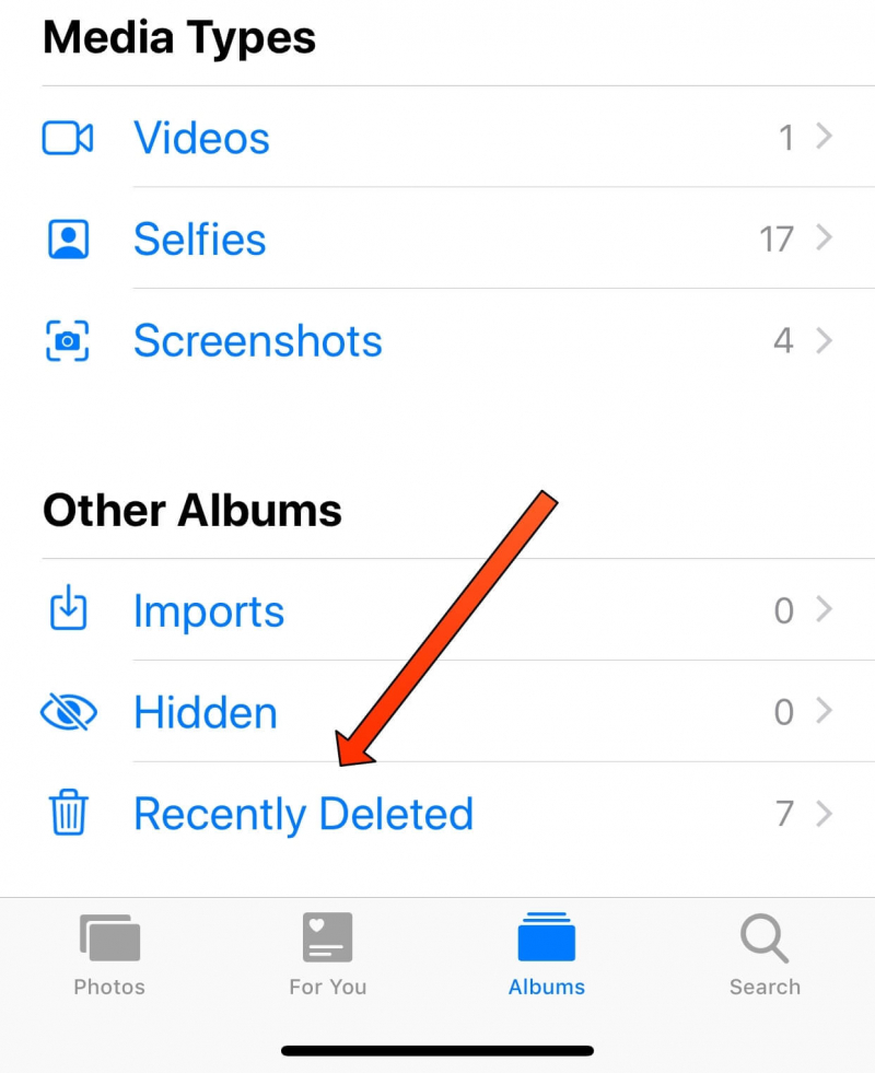 استرجع صور Snapchat المحذوفة على iPhone باستخدام الألبوم المحذوف مؤخرًا على iPhone