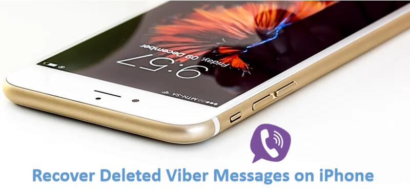استعادة رسائل Viber المحذوفة على iPhone 7/8 / X / 11 من Viber Backup
