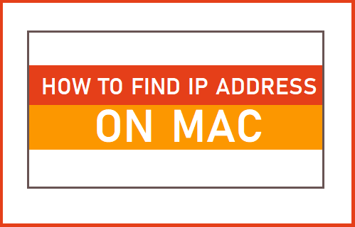 ابحث عن عنوان IP على Mac Find