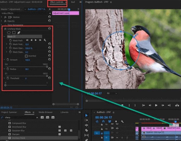 تحسين دقة الفيديو باستخدام Adobe Premiere Pro