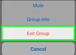 احذف رسائل iPhone WhatsApp من خلال Exiting Group