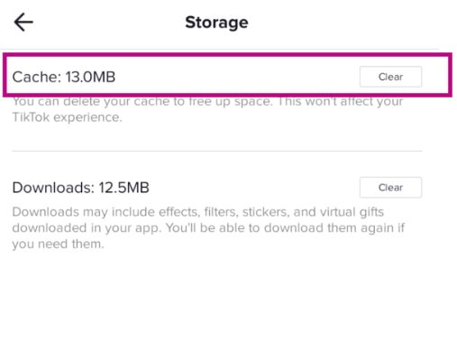 حذف ذاكرة التخزين المؤقت TikTok على أجهزة iOS