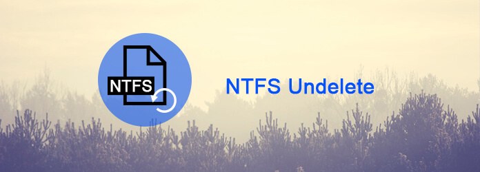 NTFS الحذف