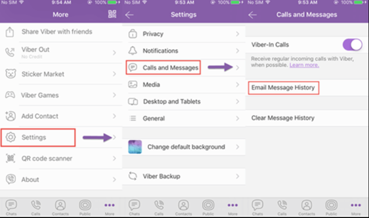 انقل محفوظات Viber من iPhone إلى الكمبيوتر باستخدام Viber