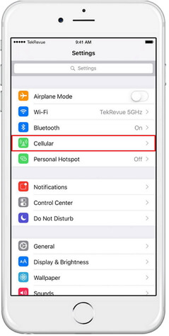 تحقق من البيانات الخلوية لمعرفة ما إذا كان iPhone غير قادر على إرسال رسائل صور باستخدام iMessage