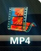 انستقرام محول الفيديو - محول الفيديو. MP4