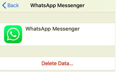 احذف بيانات WhatsApp iCloud لمسح WhatsApp Backup