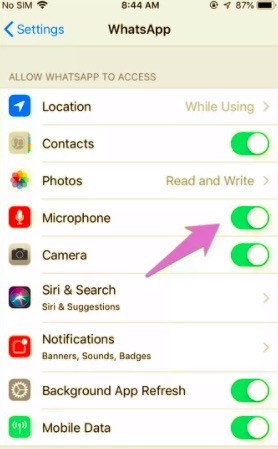 السماح بإذن ميكروفون iPhone لإصلاح صوت WhatsApp أو مكالمة الفيديو بلا صوت
