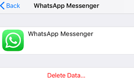 حذف بيانات النسخ الاحتياطي على iCloud WhatsApp